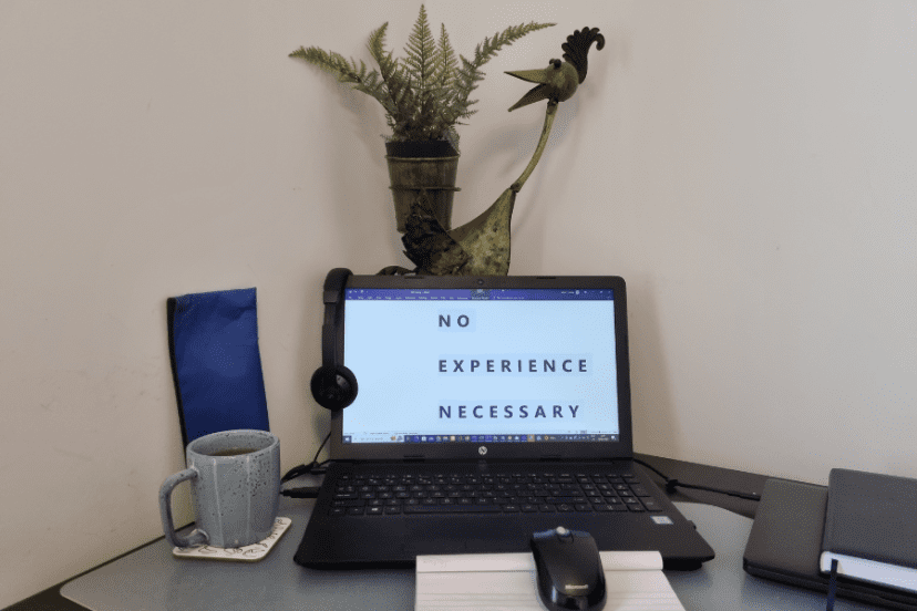 Work from Home Jobs with No Experience