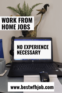 Work from Home Jobs No Experience